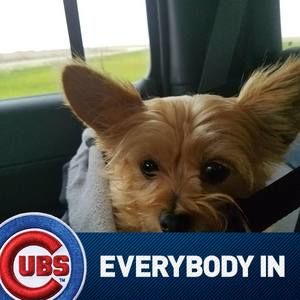 Meet your Posher, Cora